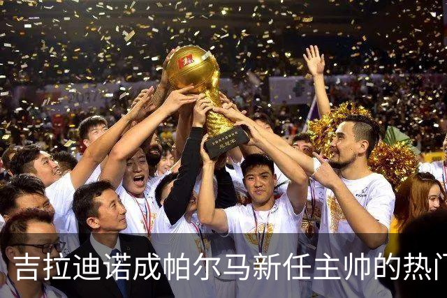 吉拉迪诺成帕尔马新任主帅的热门人选，青年队教练或将晋升